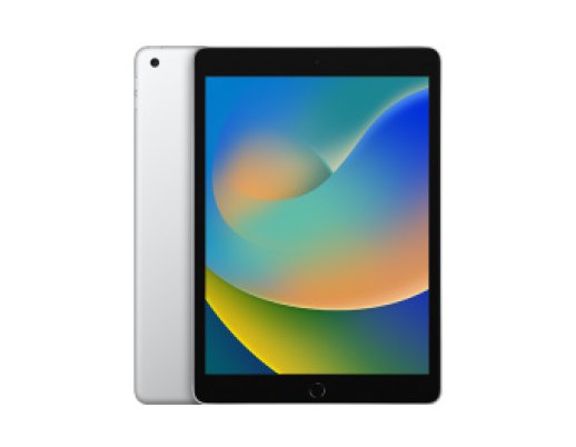 iPad (9th gen.) 256GB